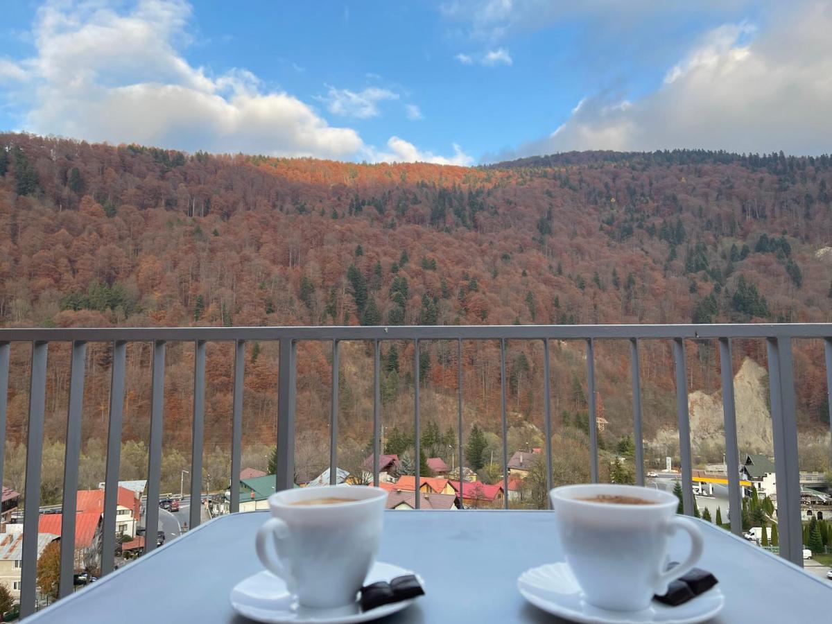 Viewapart Sinaia Buitenkant foto